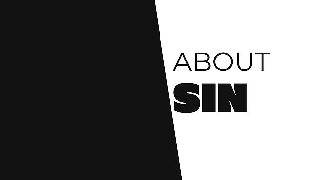 About SIN